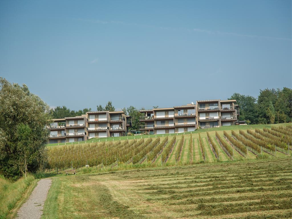 Wohnen Im Wein Apartment เอห์เรนเฮาเซน ภายนอก รูปภาพ